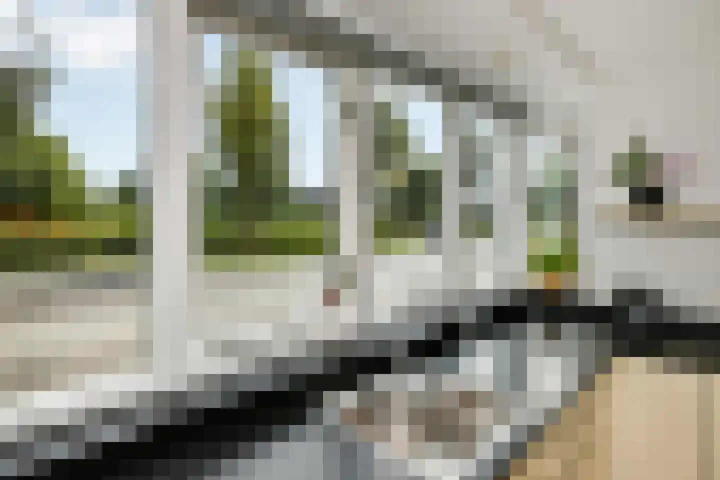 Regenboog 117 Elst thumbnail 18