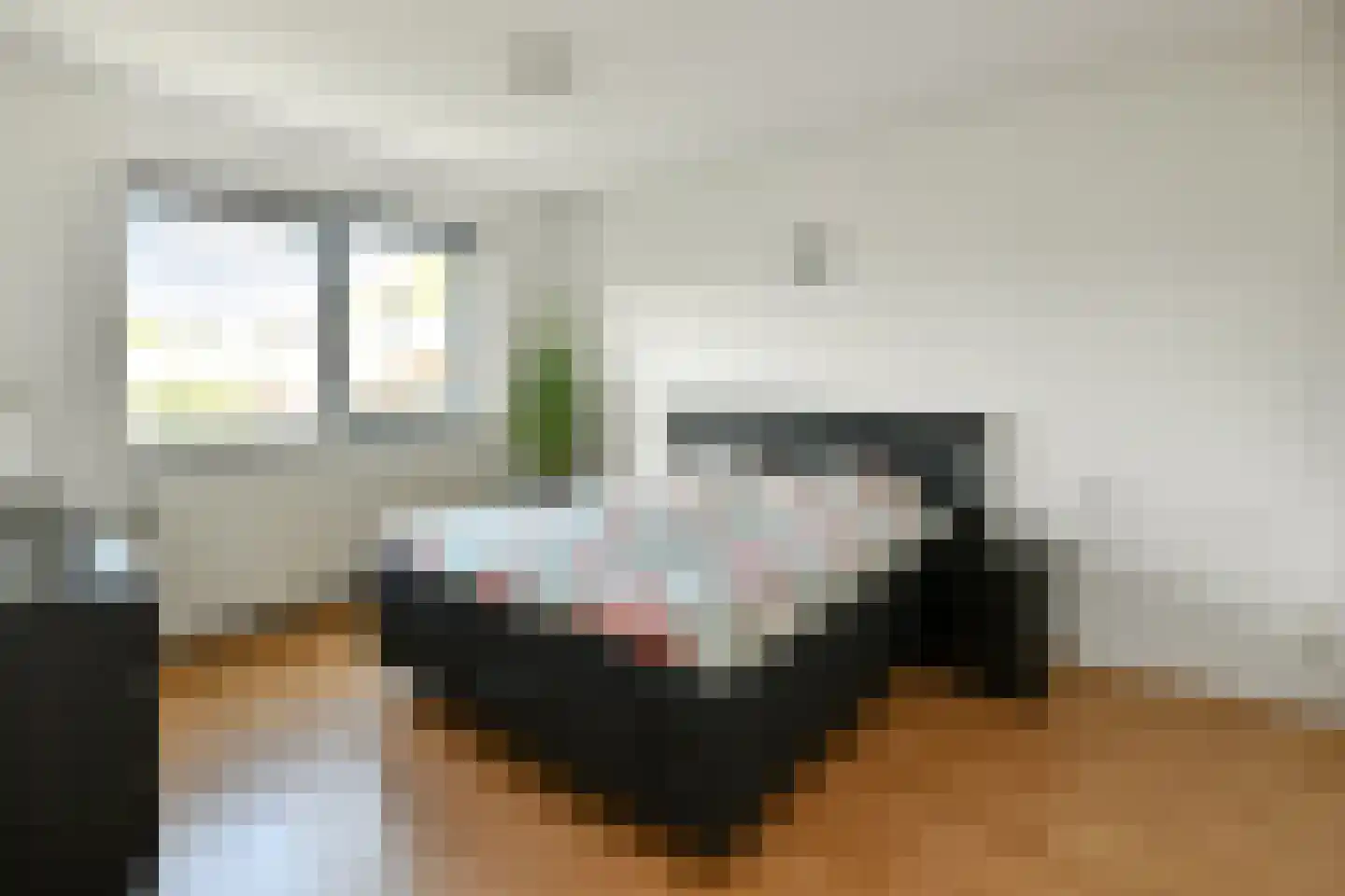 Regenboog 117 Elst thumbnail 22