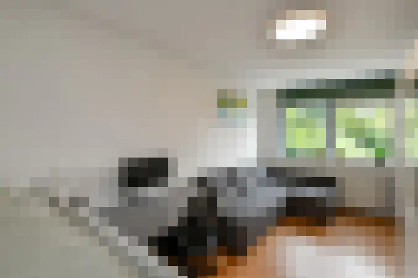 Regenboog 117 Elst thumbnail 27