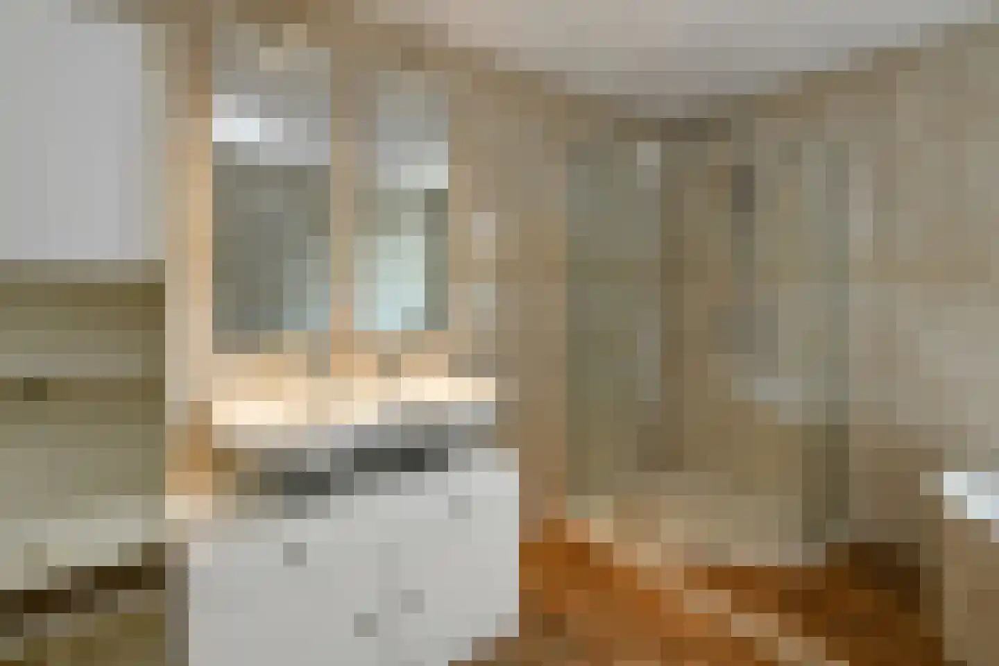 Regenboog 117 Elst thumbnail 29