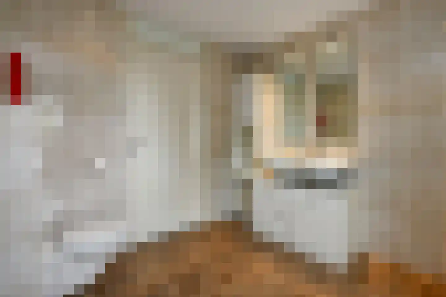 Regenboog 117 Elst thumbnail 30