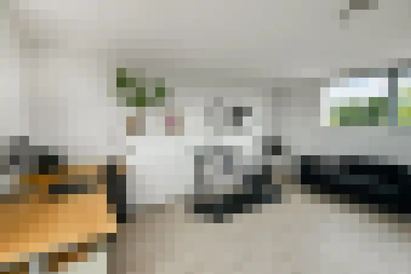 Regenboog 117 Elst thumbnail 34