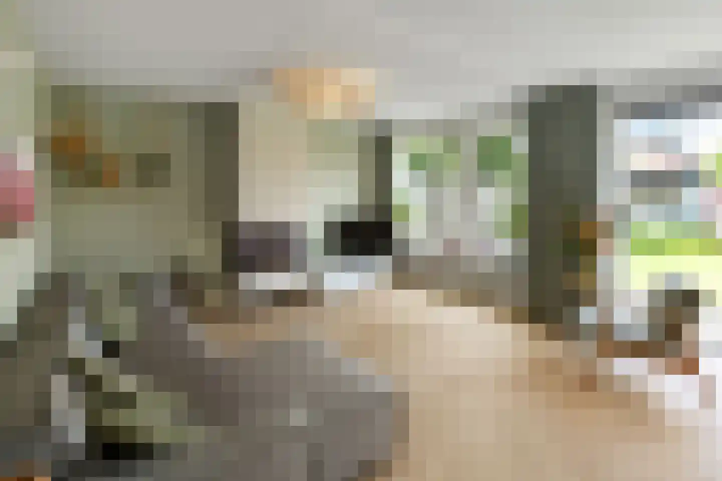 Regenboog 117 Elst thumbnail 6