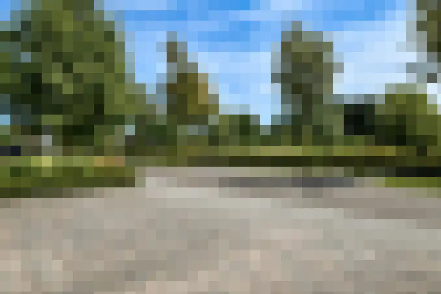 Regenboog 117 Elst thumbnail 60