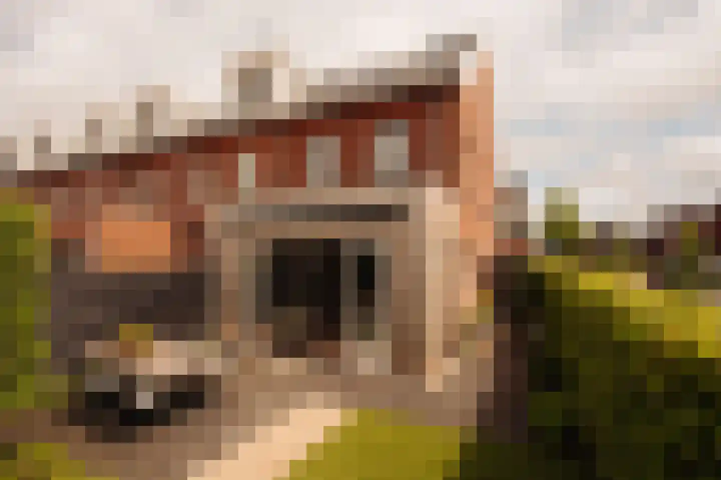 Regenboog 13 Vinkeveen thumbnail 10