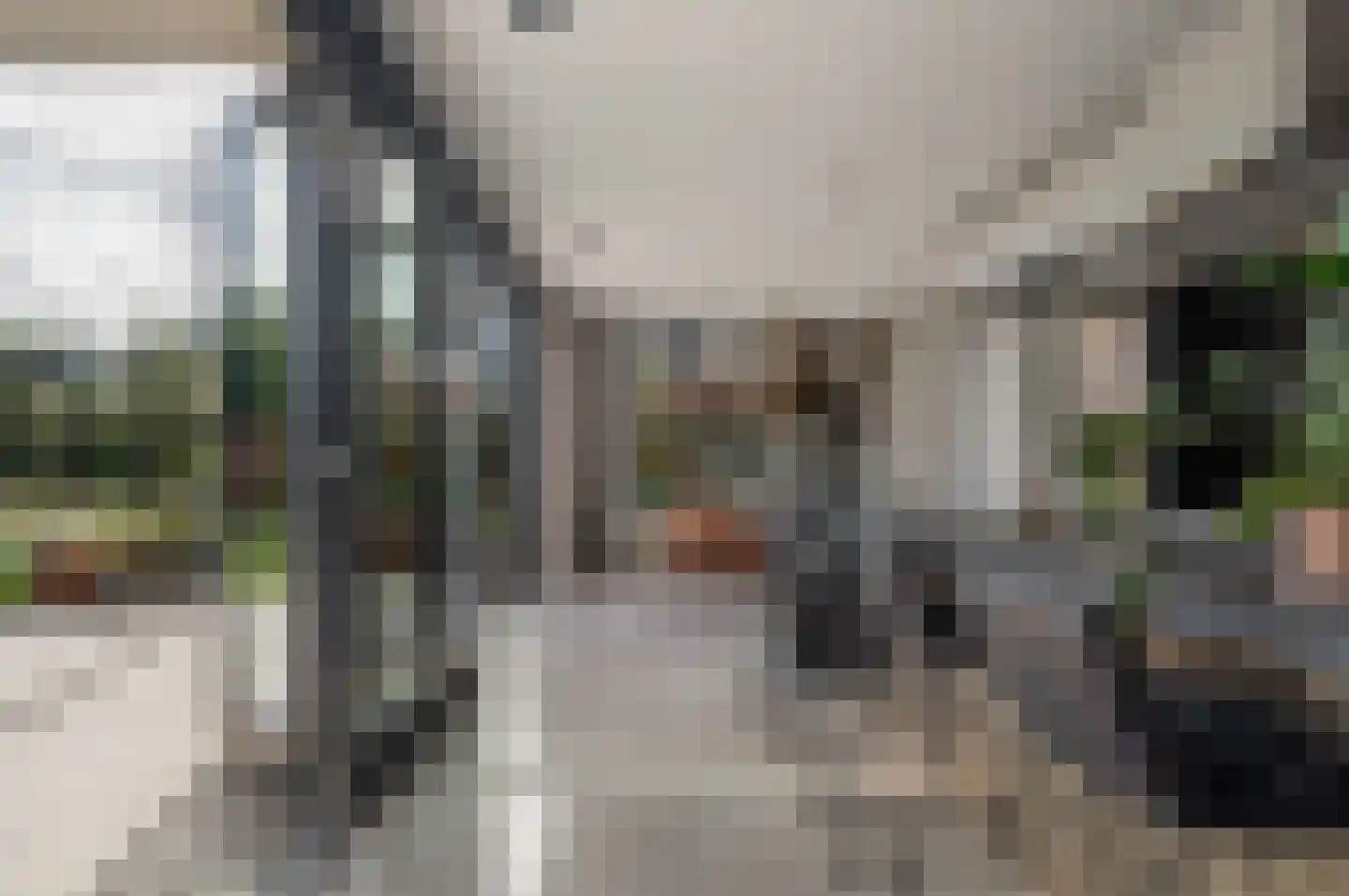 Regenboog 142 Rhoon thumbnail 10