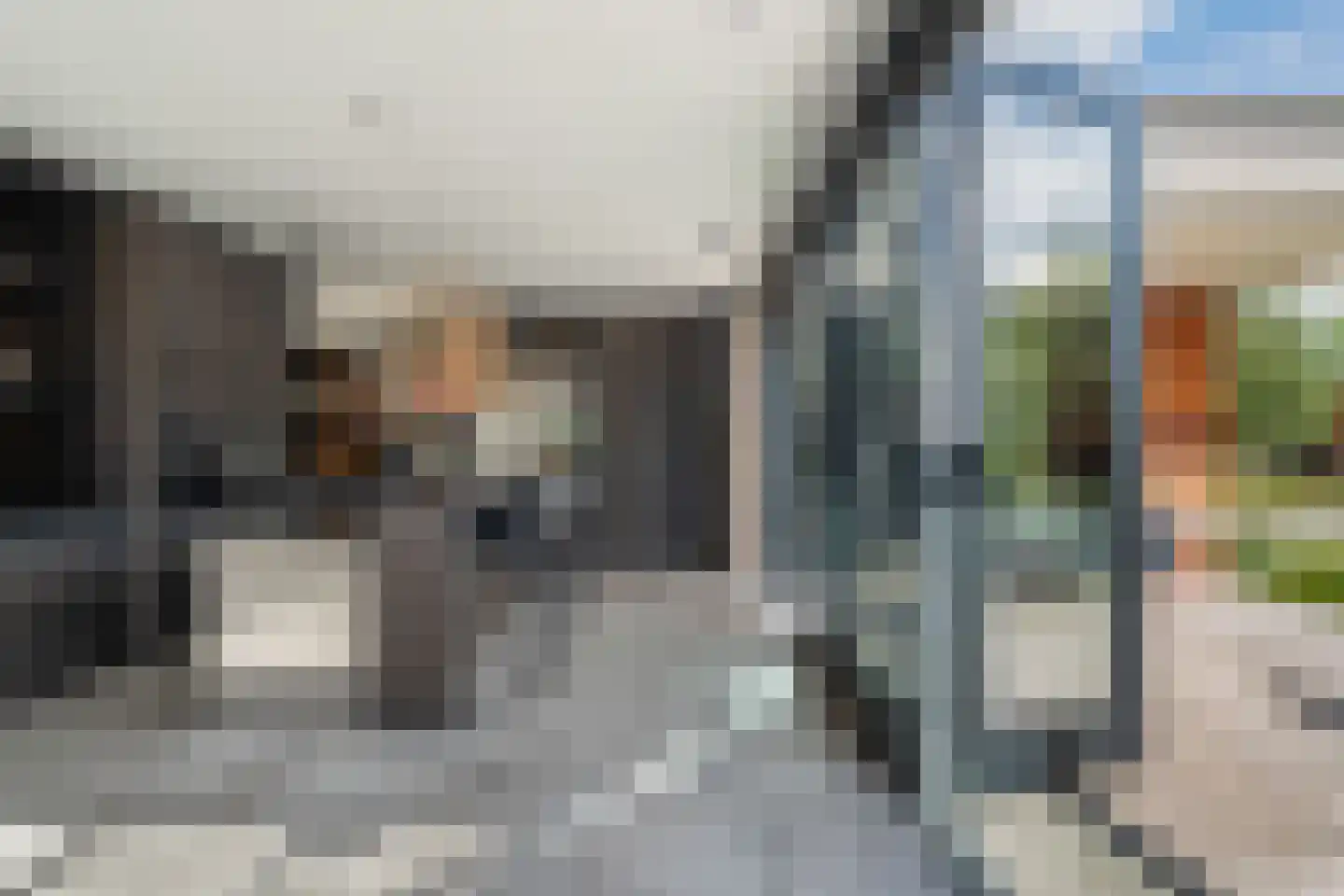 Regenboog 142 Rhoon thumbnail 11