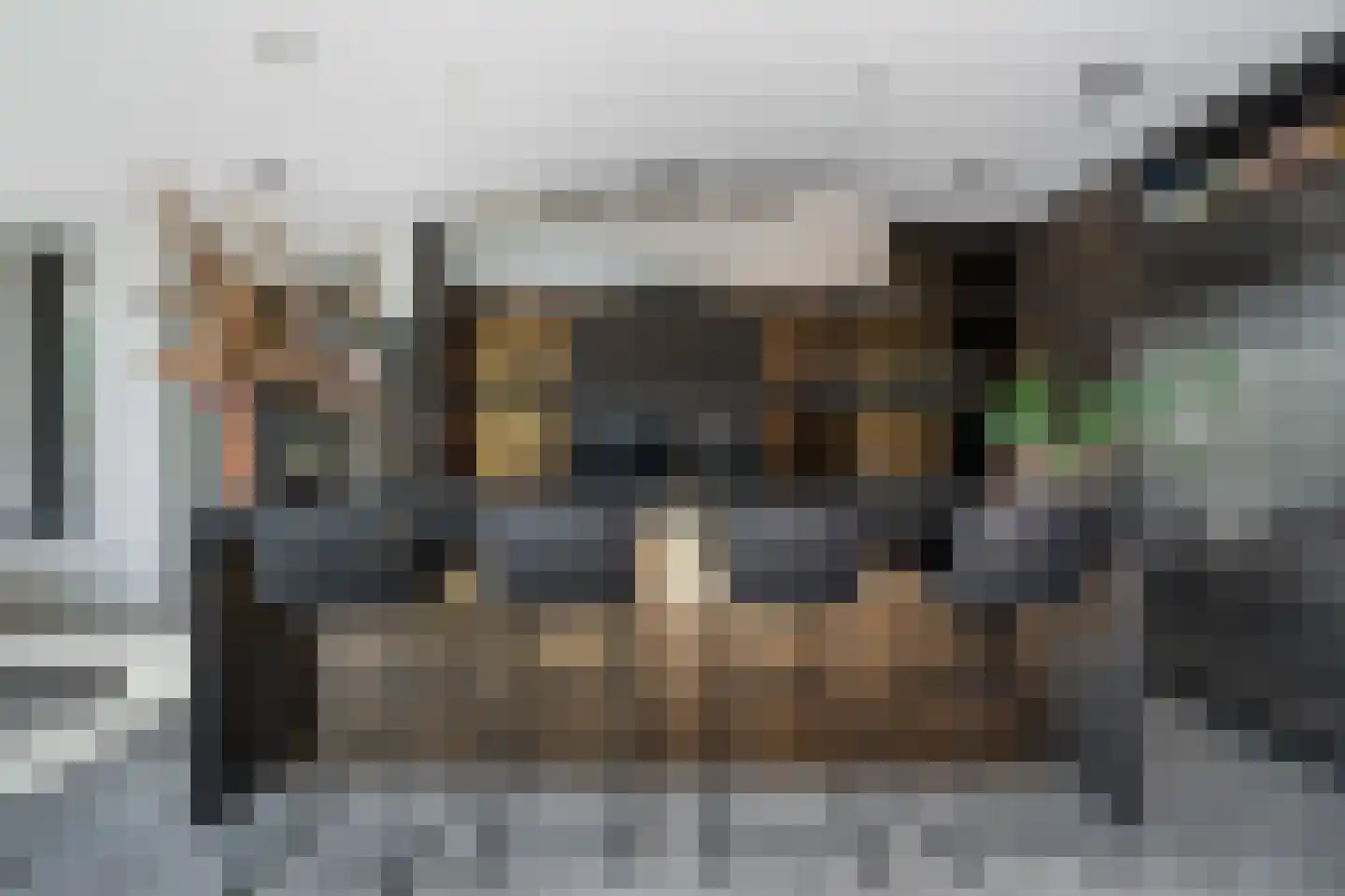 Regenboog 142 Rhoon thumbnail 16
