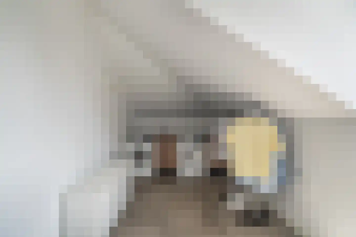 Regenboog 142 Rhoon thumbnail 43