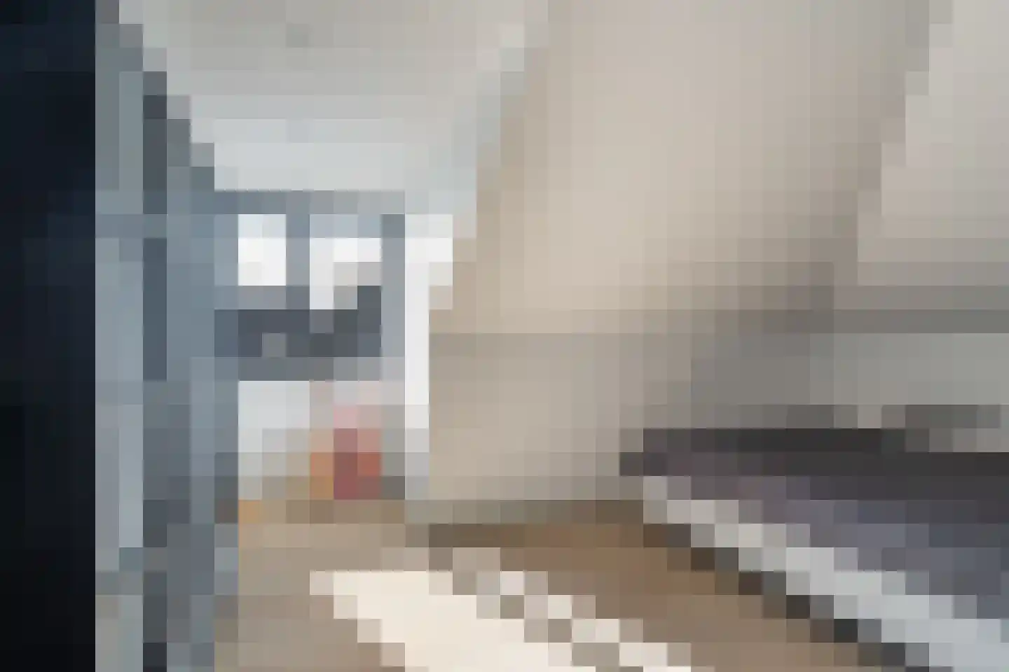 Regenboog 142 Rhoon thumbnail 44