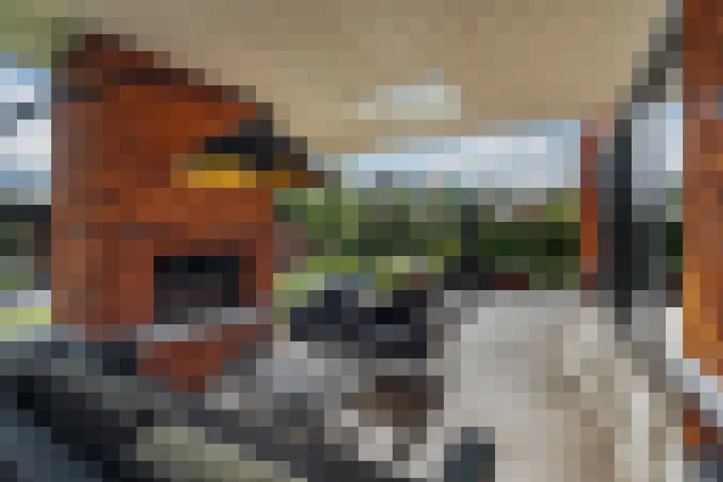 Regenboog 142 Rhoon thumbnail 52