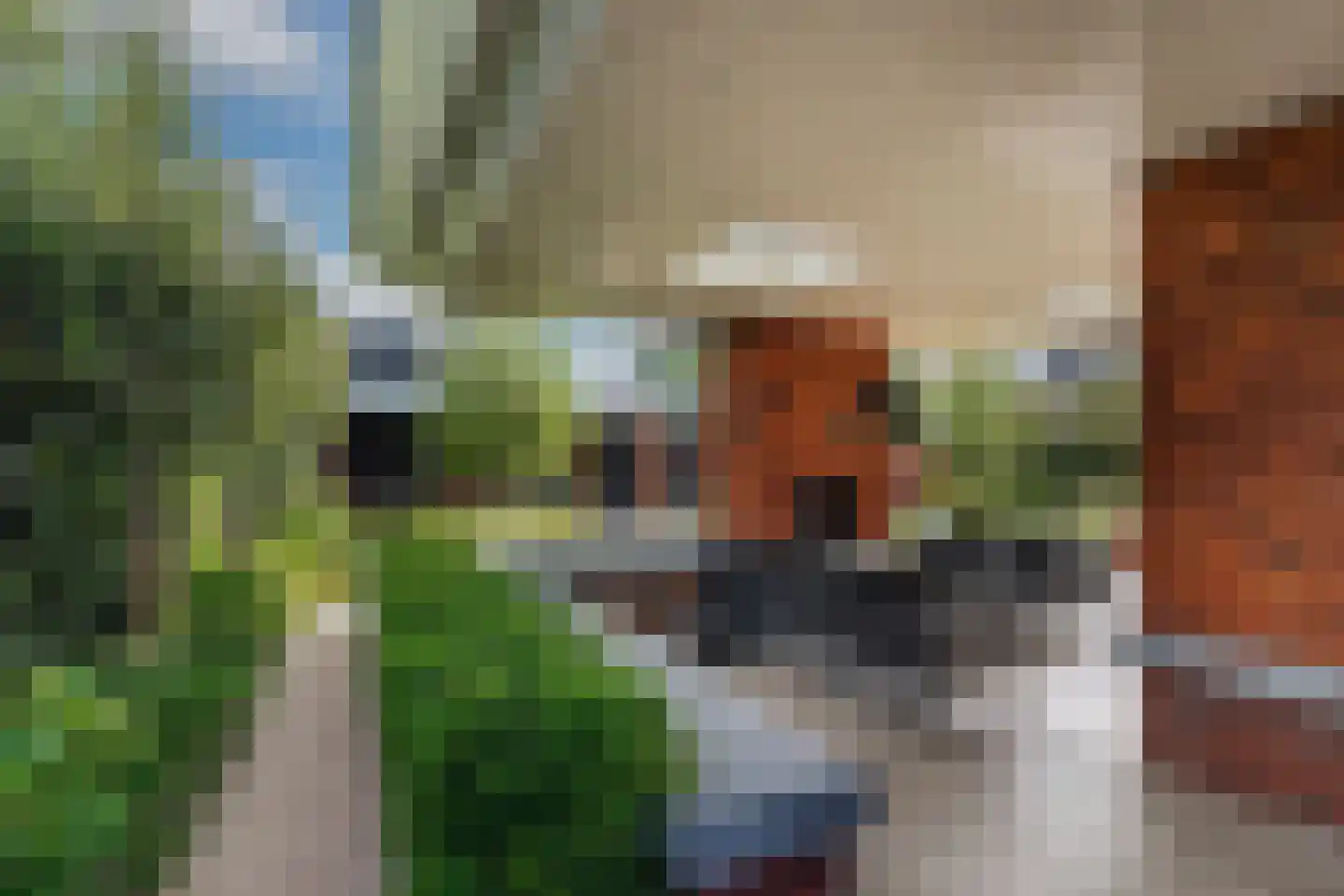Regenboog 142 Rhoon thumbnail 53