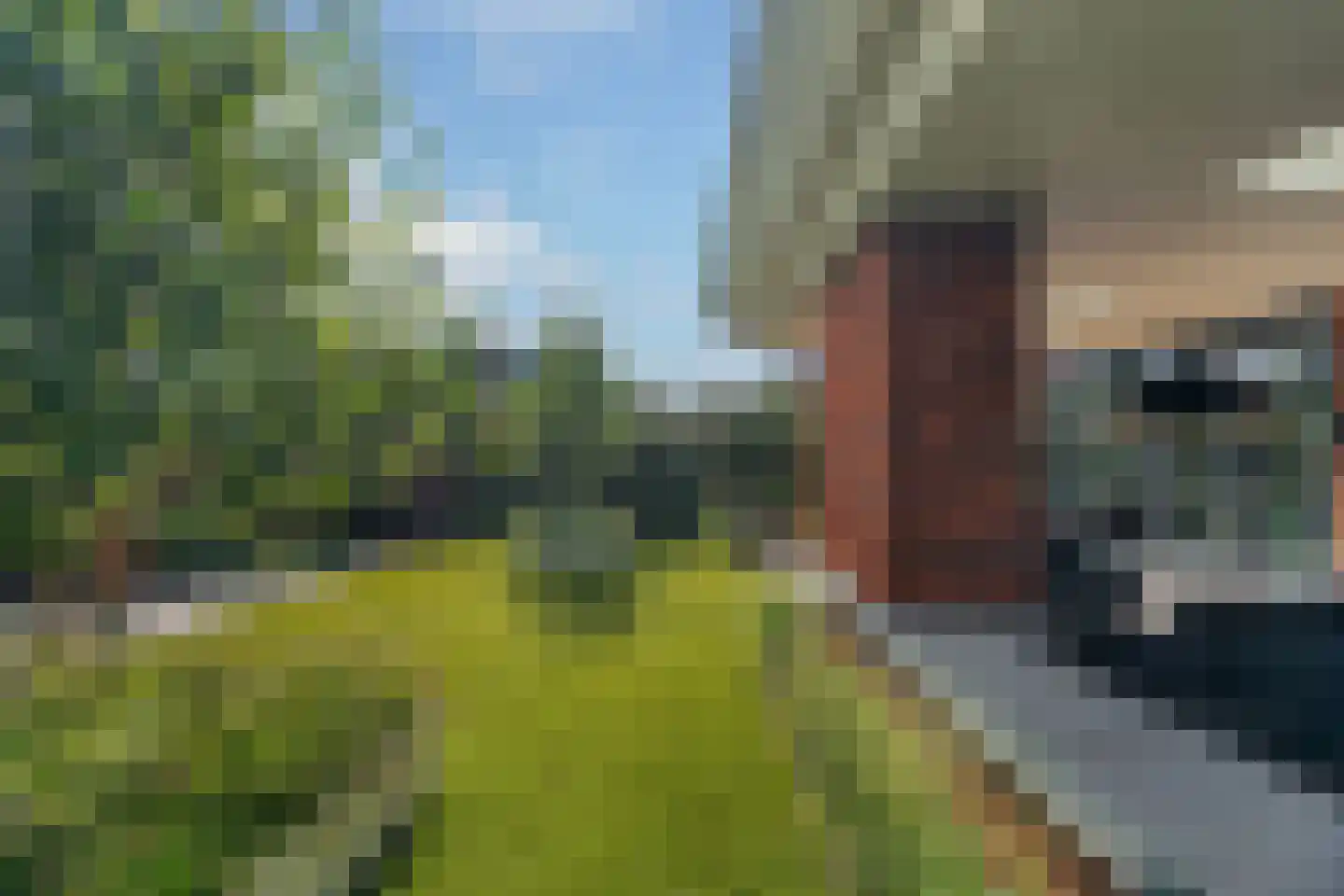 Regenboog 142 Rhoon thumbnail 54