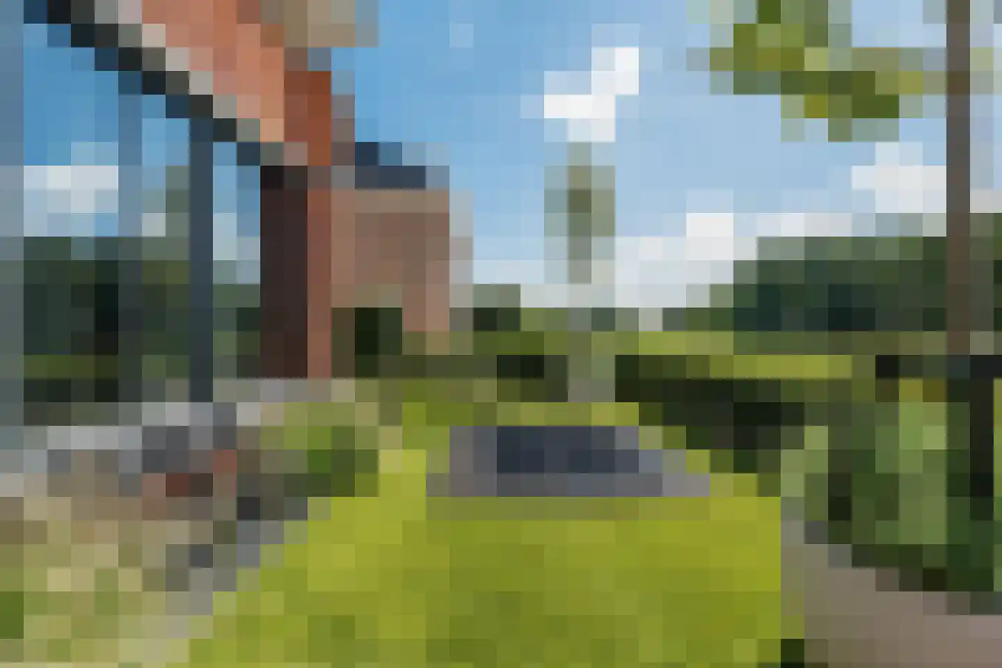 Regenboog 142 Rhoon thumbnail 63