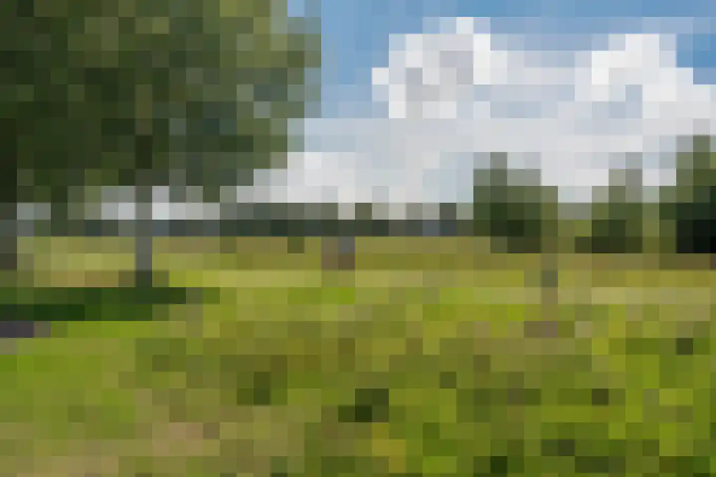 Regenboog 142 Rhoon thumbnail 66