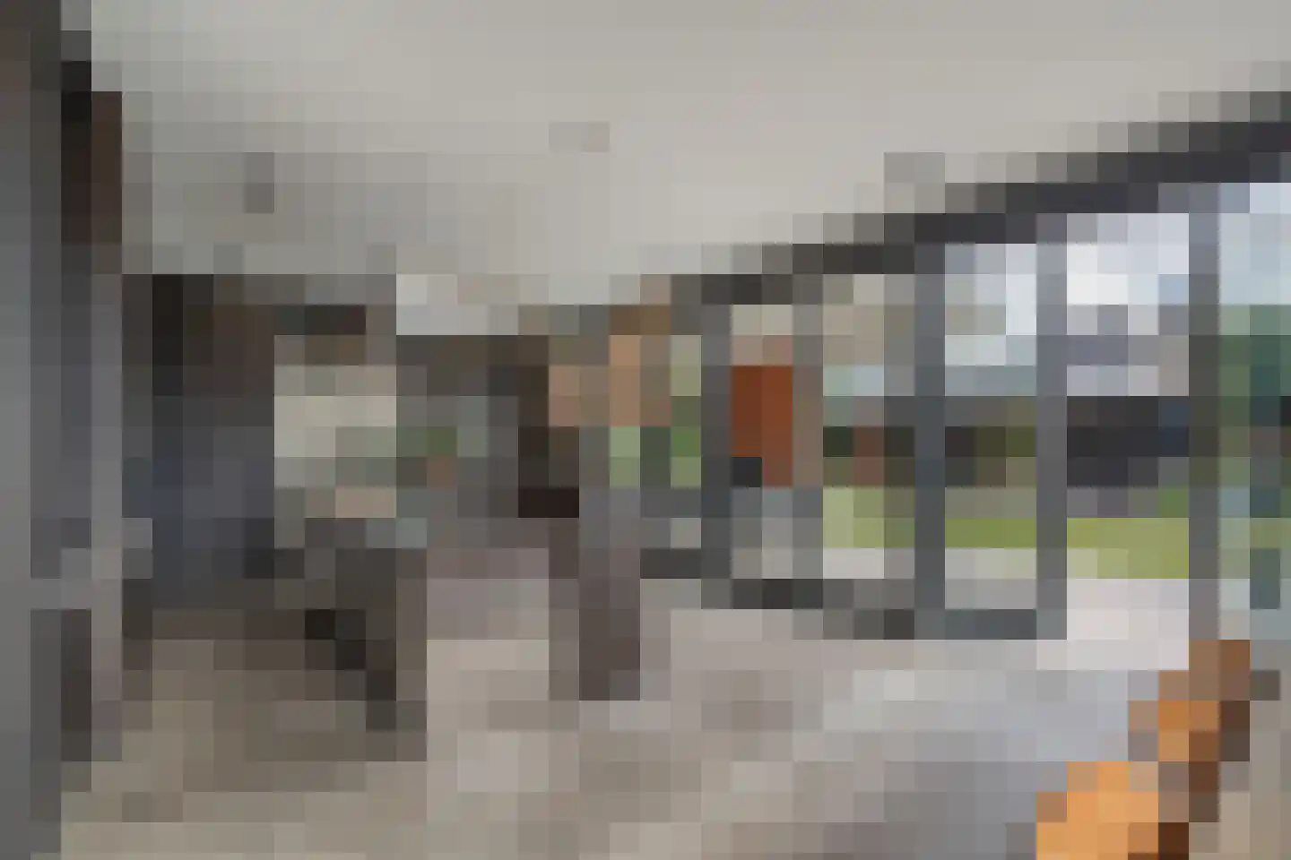 Regenboog 142 Rhoon thumbnail 8