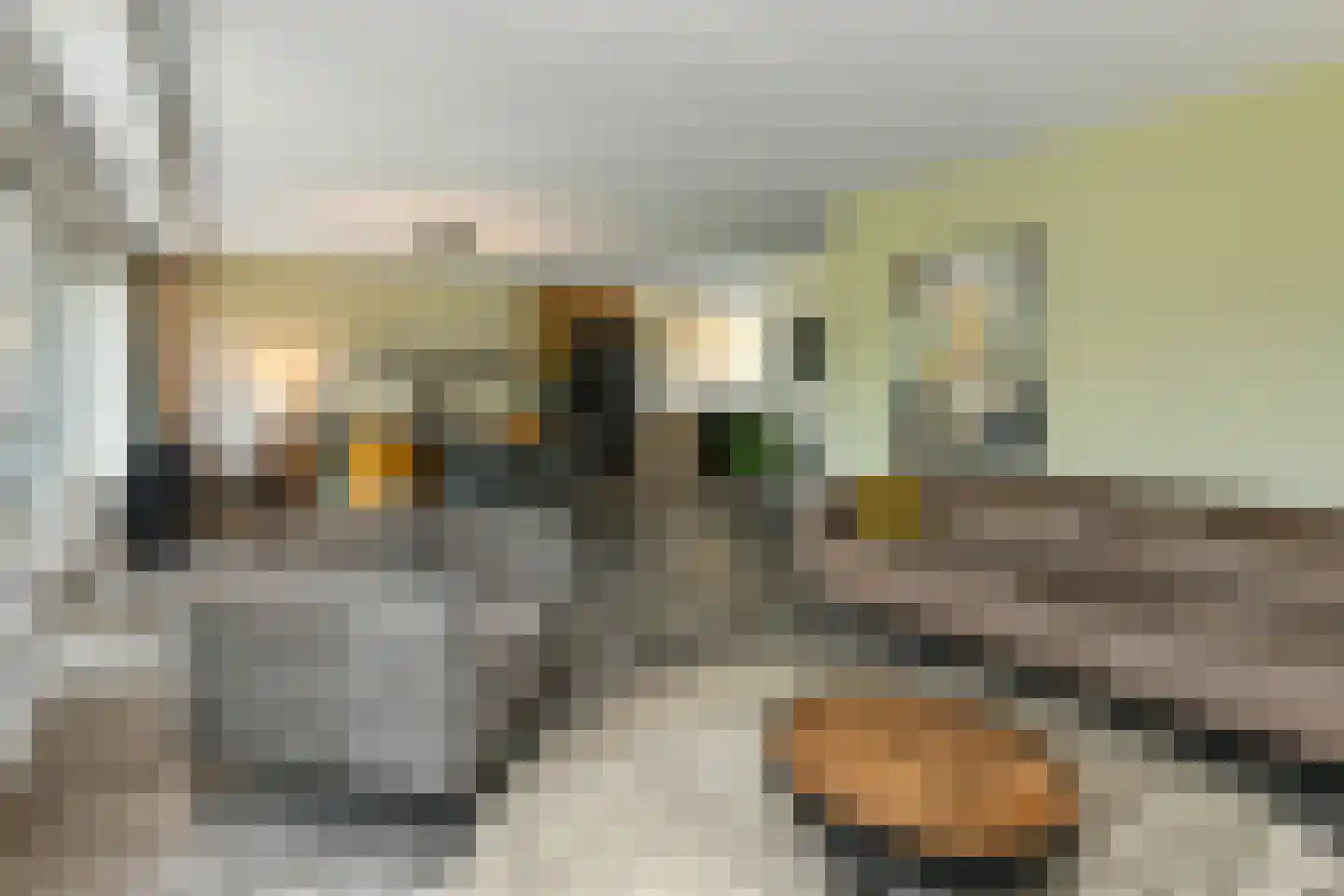 Regenboog 145 Elst thumbnail 11