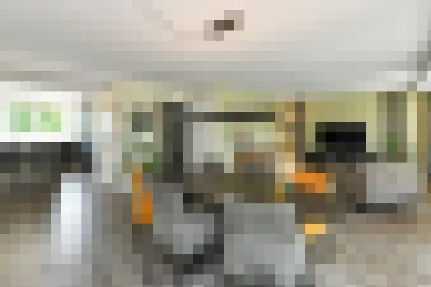 Regenboog 145 Elst thumbnail 12