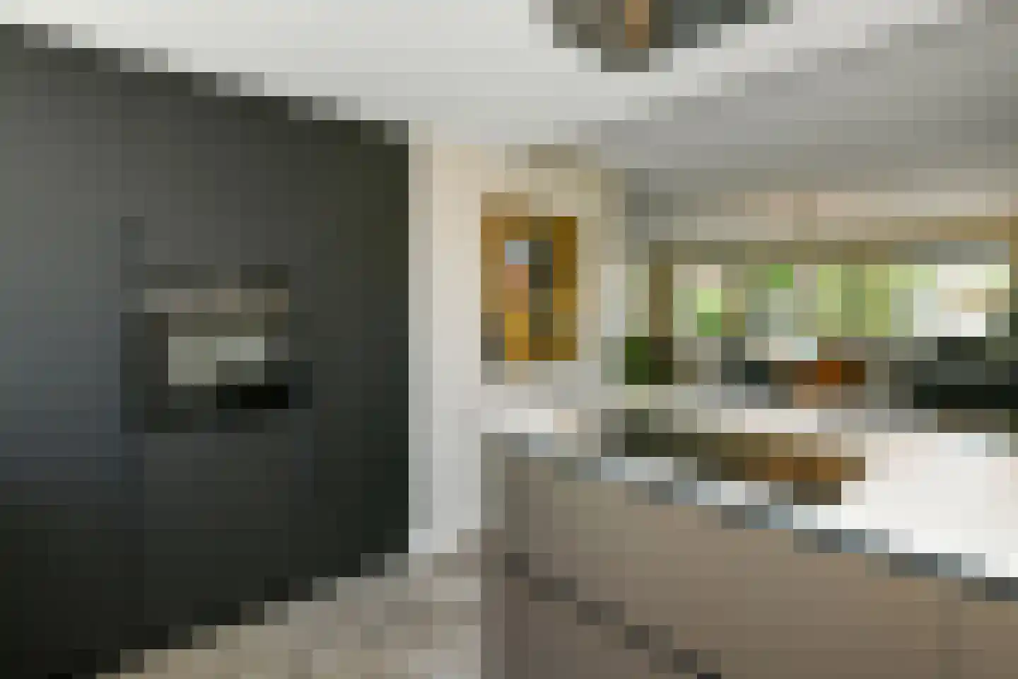 Regenboog 145 Elst thumbnail 18