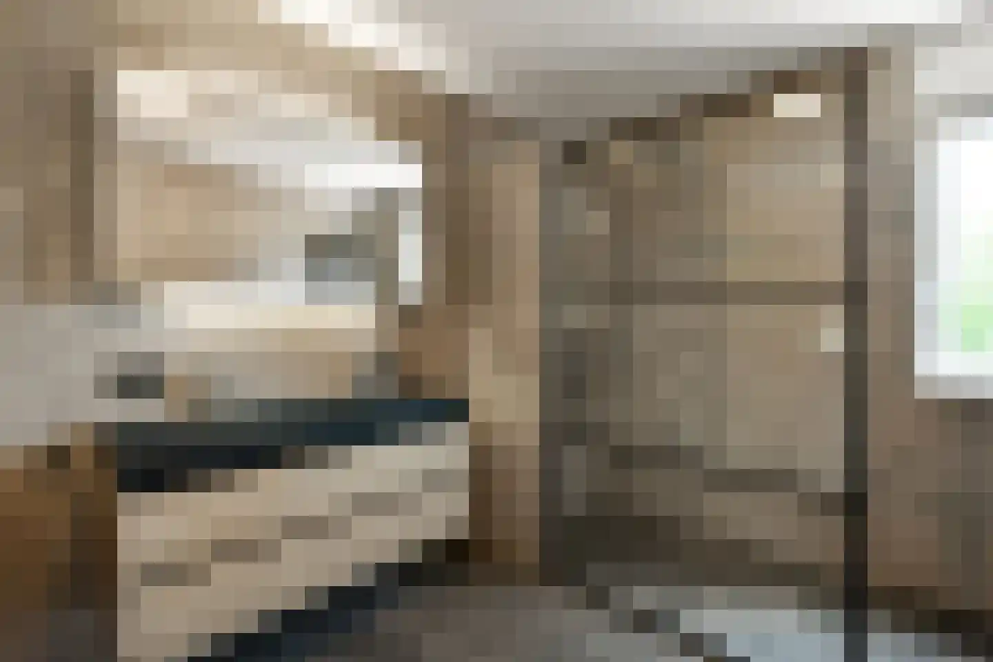 Regenboog 145 Elst thumbnail 28