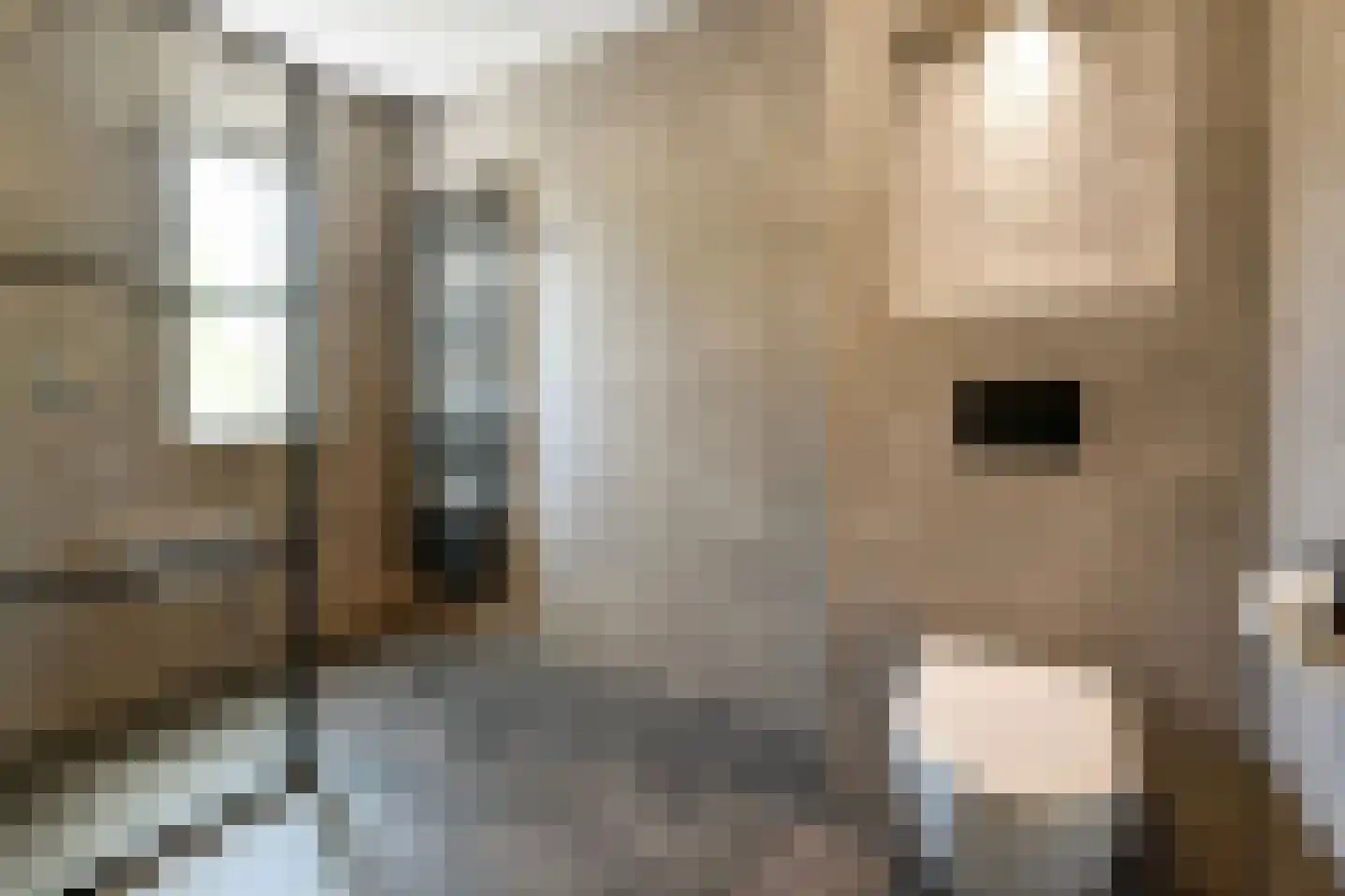 Regenboog 145 Elst thumbnail 29