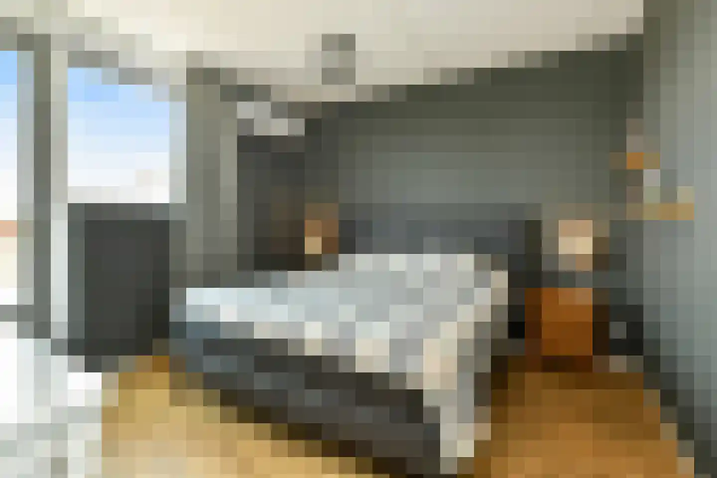 Regenboog 145 Elst thumbnail 33