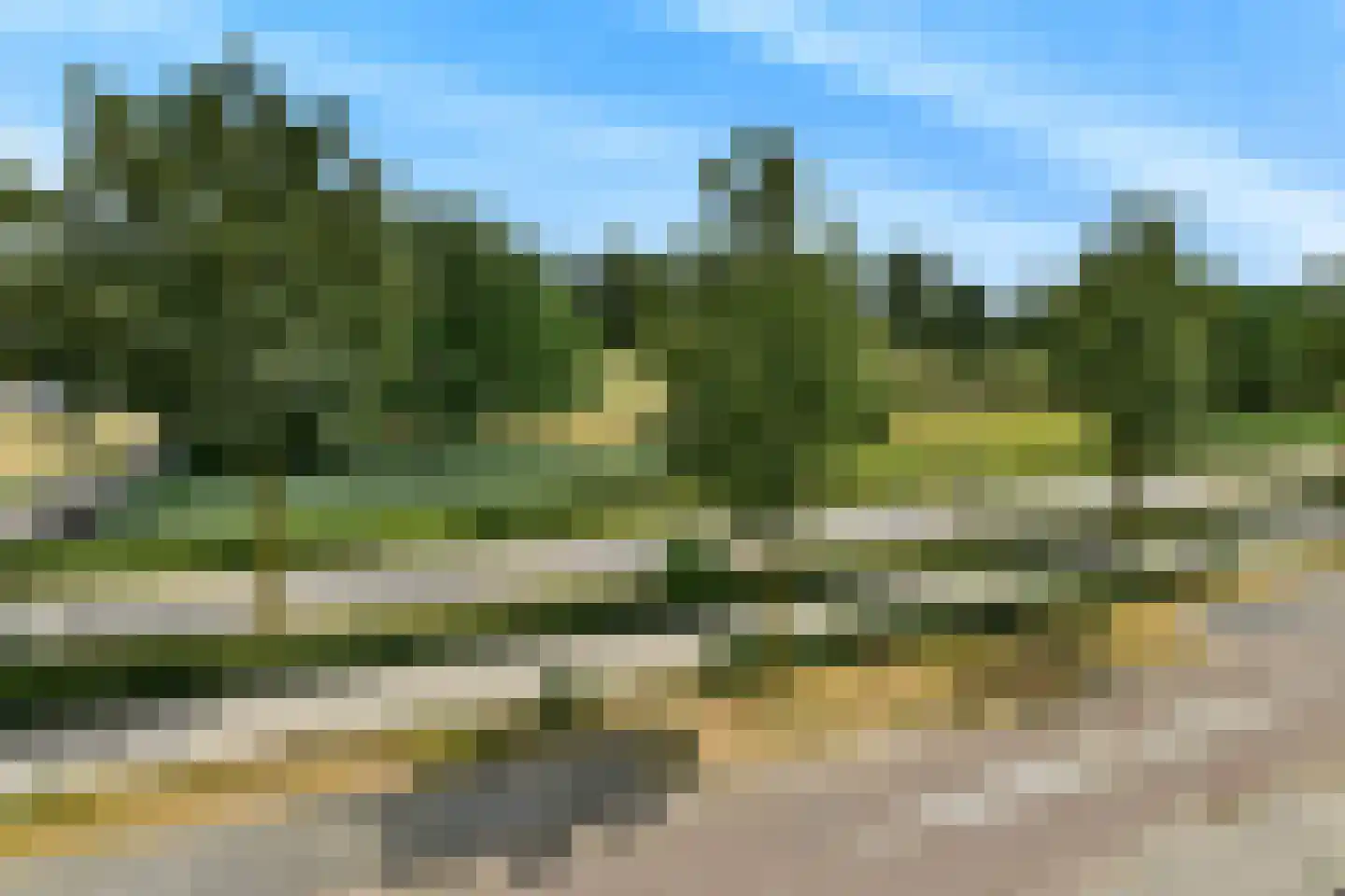 Regenboog 145 Elst thumbnail 39