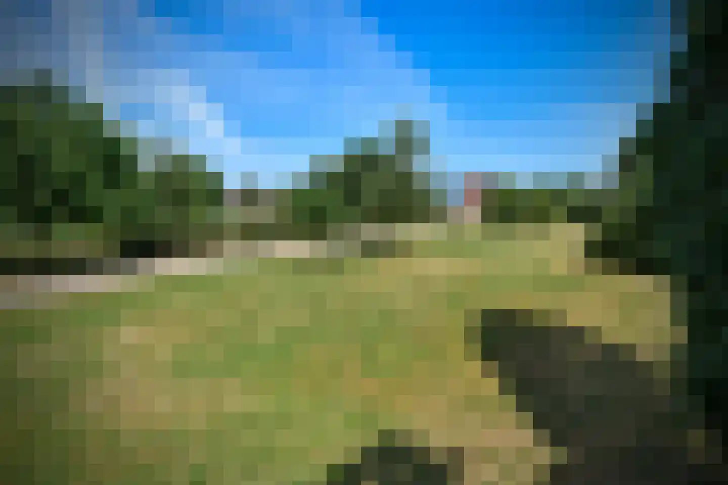 Regenboog 145 Elst thumbnail 41