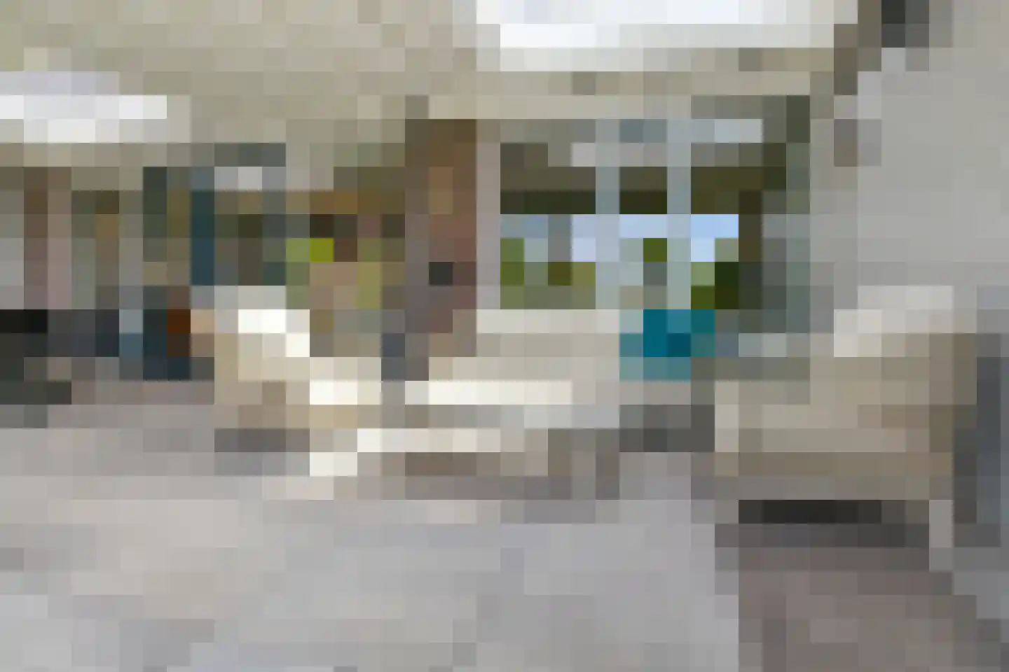 Regenboog 145 Elst thumbnail 45