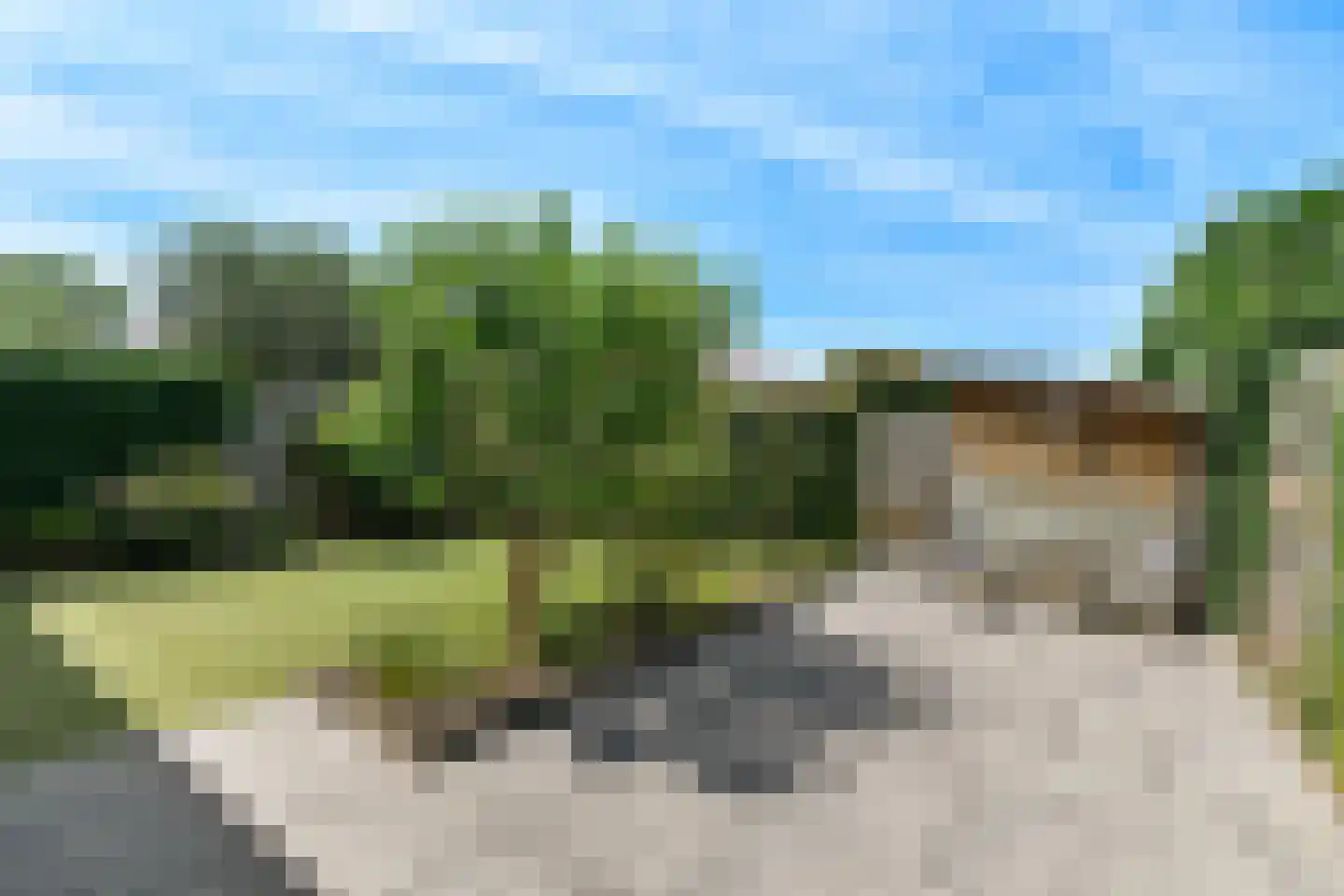 Regenboog 145 Elst thumbnail 47