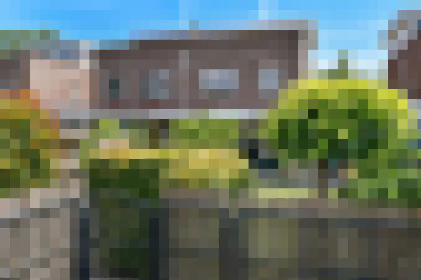 Regenboog 145 Elst thumbnail 50
