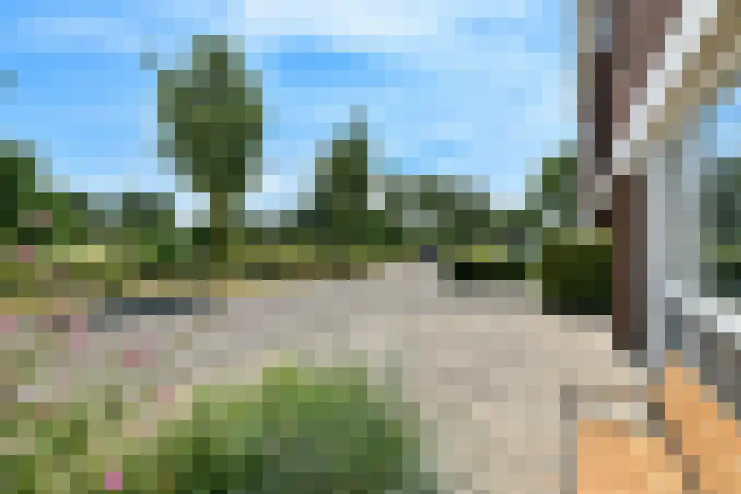 Regenboog 145 Elst thumbnail 8