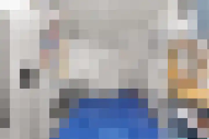 Regenboog 155 Elst thumbnail 15