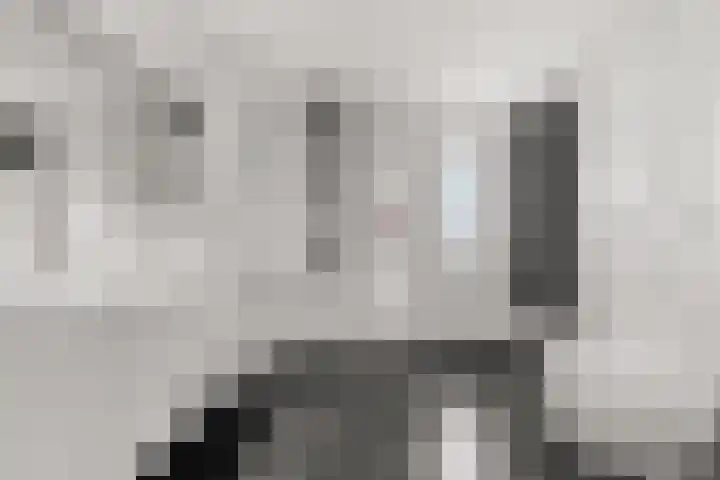 Regenboog 155 Elst thumbnail 24