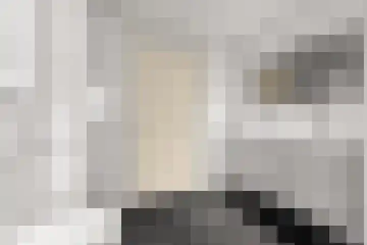Regenboog 155 Elst thumbnail 26