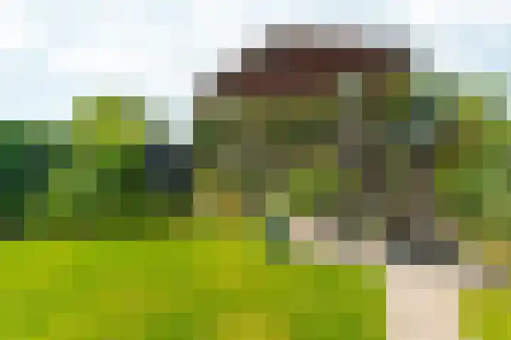 Regenboog 155 Elst thumbnail 37