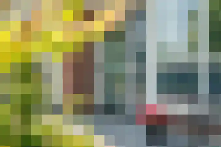 Regenboog 155 Elst thumbnail 41