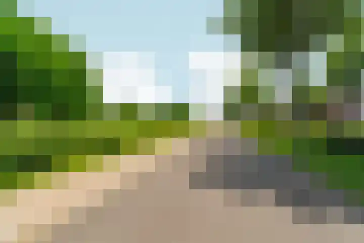 Regenboog 155 Elst thumbnail 44