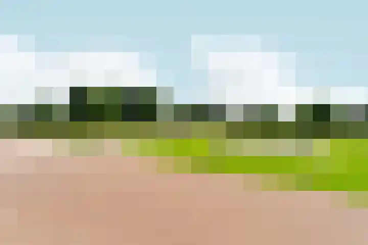 Regenboog 155 Elst thumbnail 46