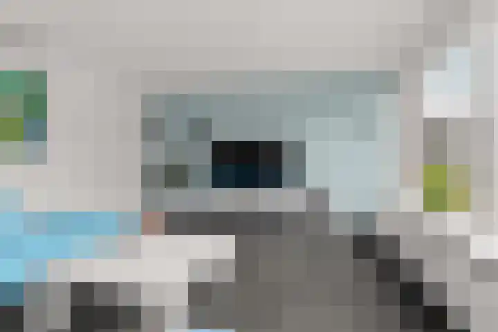 Regenboog 155 Elst thumbnail 6