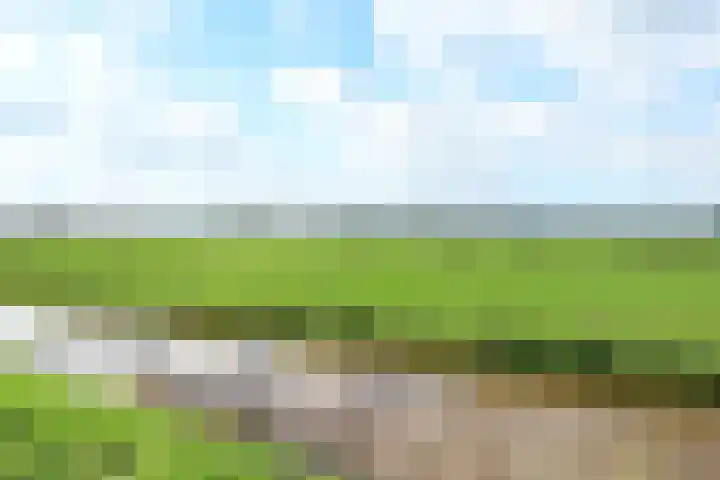 Regenboog 16 Vinkeveen thumbnail 21