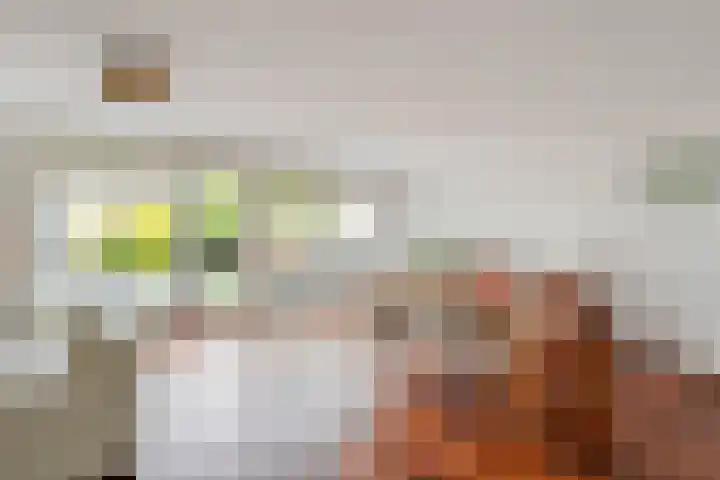 Regenboog 163 Elst thumbnail 13