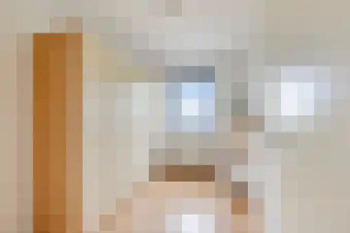 Regenboog 163 Elst thumbnail 15