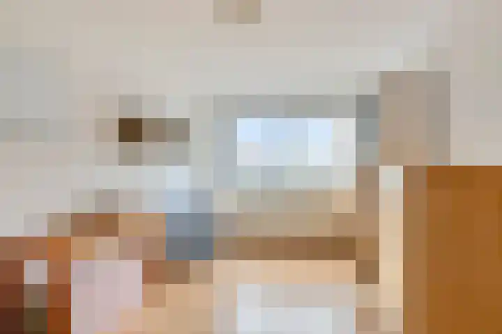 Regenboog 163 Elst thumbnail 18