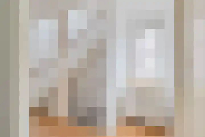 Regenboog 163 Elst thumbnail 23