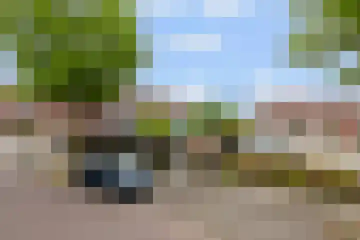 Regenboog 163 Elst thumbnail 28