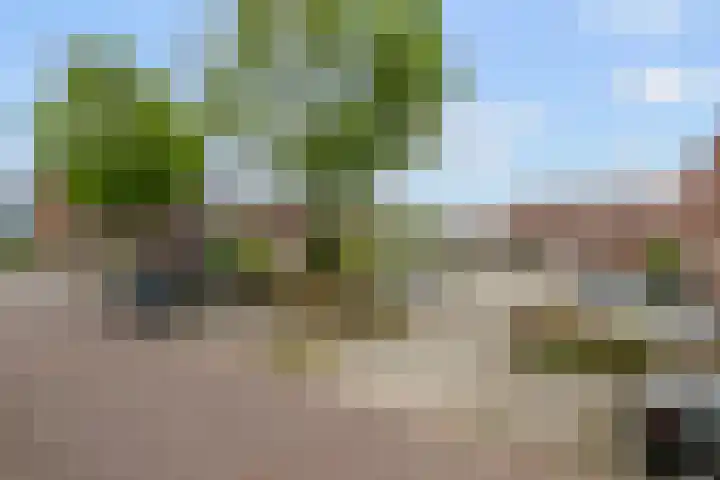 Regenboog 163 Elst thumbnail 29