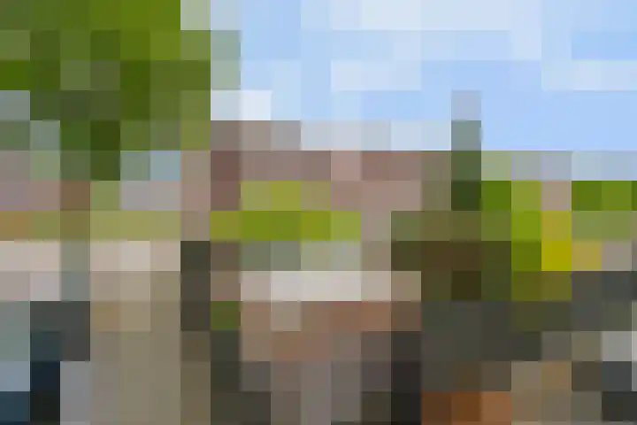 Regenboog 163 Elst thumbnail 30