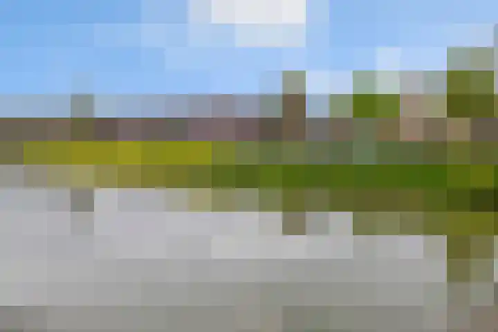 Regenboog 163 Elst thumbnail 31