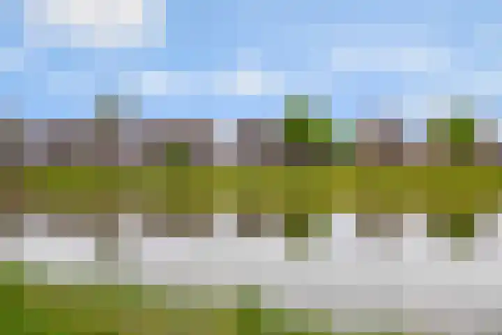Regenboog 163 Elst thumbnail 32